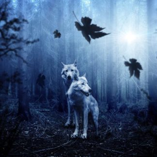 Wolves in the Forest