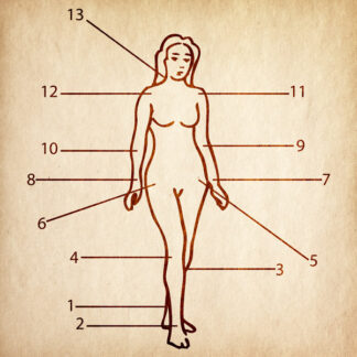 Spiritualizing the Joints of the Body #Kit