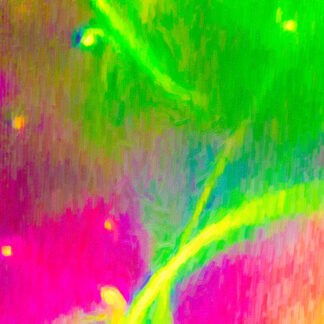 Communications From Inner Space