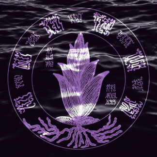 Entering the Haaraknit