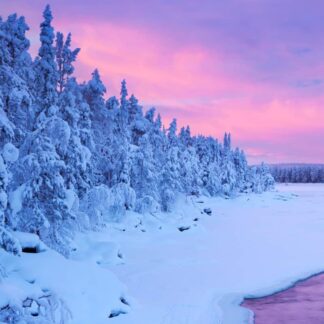 Feminine Ascension Trilogy (2020)